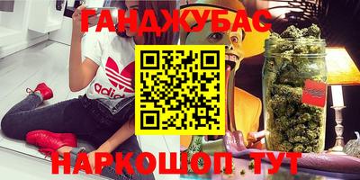 шишки Дубна