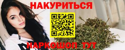 шишки Дубна