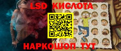 шишки Дубна