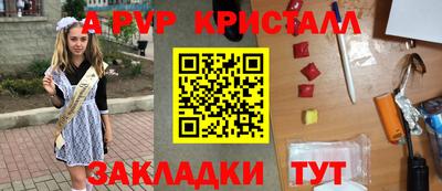 шишки Дубна