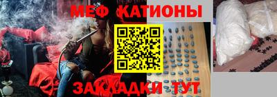шишки Дубна